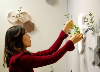 Bình hoa gắn tường - Ý tưởng trang trí lấy cảm hứng từ những khoảng trống nhỏ trên vỉa hè-1