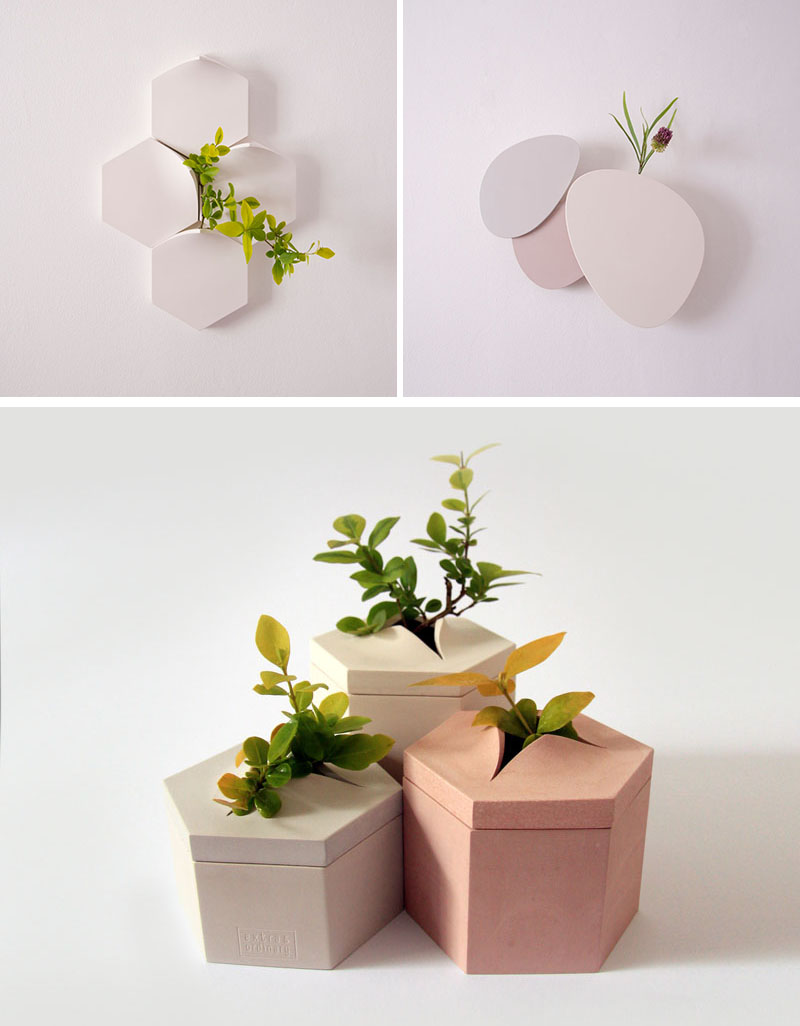 Bình hoa gắn tường - Ý tưởng trang trí lấy cảm hứng từ những khoảng trống nhỏ trên vỉa hè-2