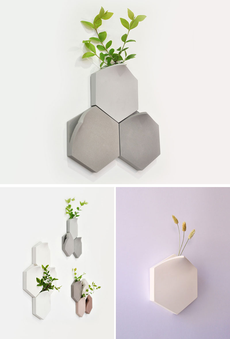 Bình hoa gắn tường - Ý tưởng trang trí lấy cảm hứng từ những khoảng trống nhỏ trên vỉa hè-3