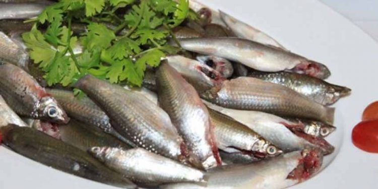 Cá linh non mùa lũ