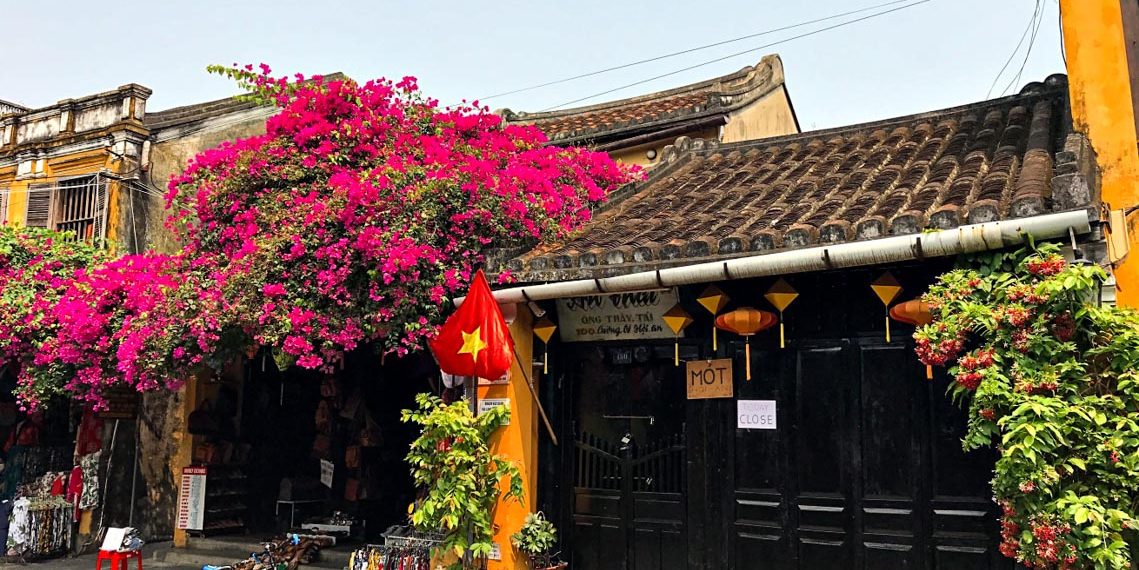 Hoa giấy nở rực rỡ Hội An trong 'những ngày corona'-1