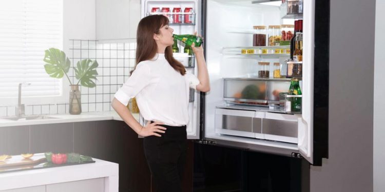 Tủ lạnh Toshiba GR-RF690WE-PGV -3