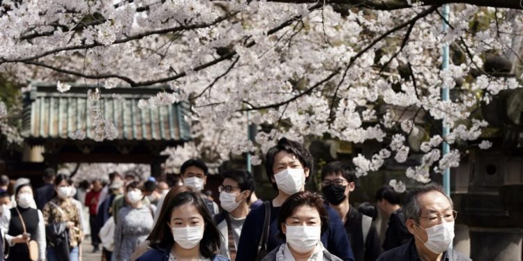 Người Nhật đổ về các công viên ngắm hoa anh đào bất chấp cảnh báo coronavirus-1