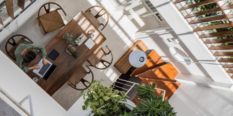 Những tia nắng xuyên qua kẽ lá