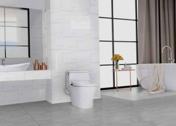 Sứ Thiên Thanh kỷ niệm 70 năm thành lập -1