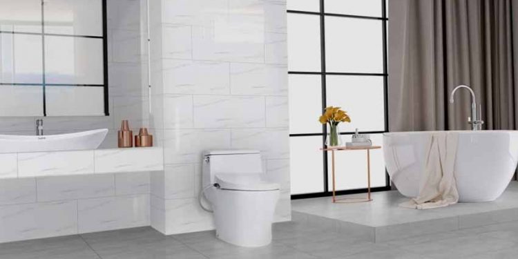 Sứ Thiên Thanh kỷ niệm 70 năm thành lập -1