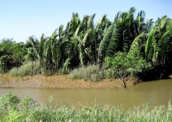 Vài mẩu chuyện kỳ bí ở miền Tây Nam bộ-5