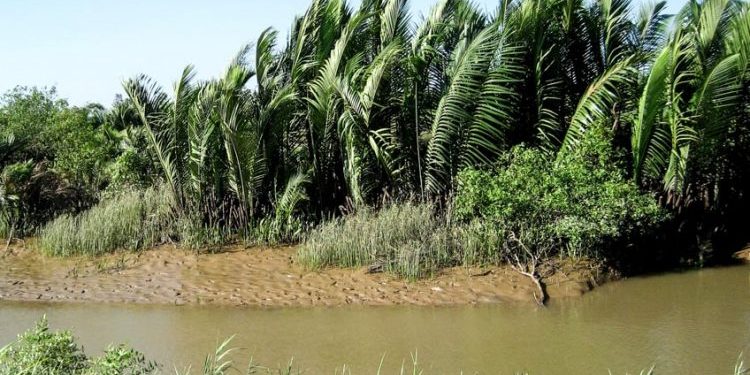 Vài mẩu chuyện kỳ bí ở miền Tây Nam bộ-5