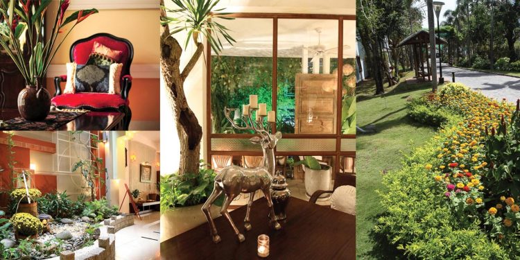 Năm mới, kiêng kỵ vừa đủ