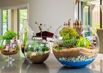 Cho ngôi nhà thêm sinh động và tình cảm