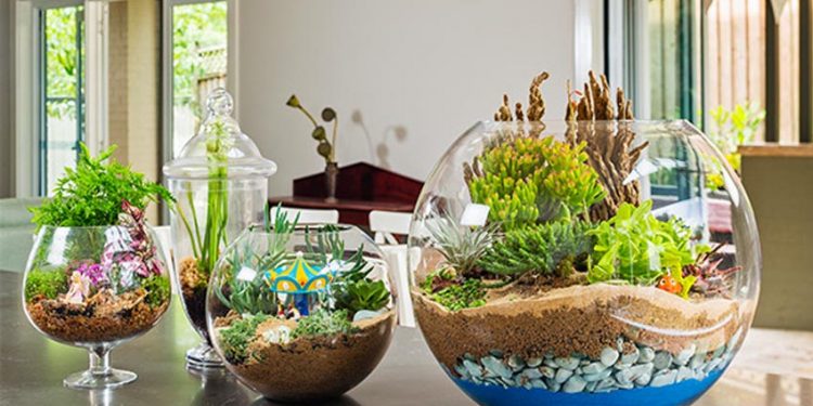 Cho ngôi nhà thêm sinh động và tình cảm