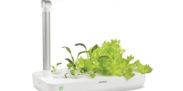 Hộp trồng cây T-box