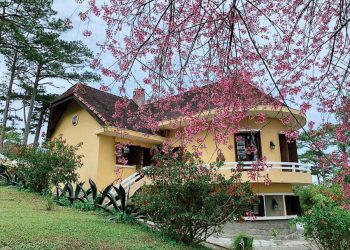 Ana Mandara Villas Dalat khởi động mùa hè