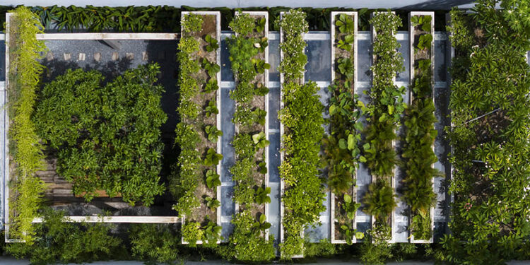 'Văn phòng xanh' cho tương lai bền vững - 3