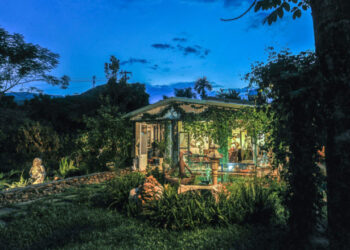 Rockim Garden: Sắc xanh vườn rừng