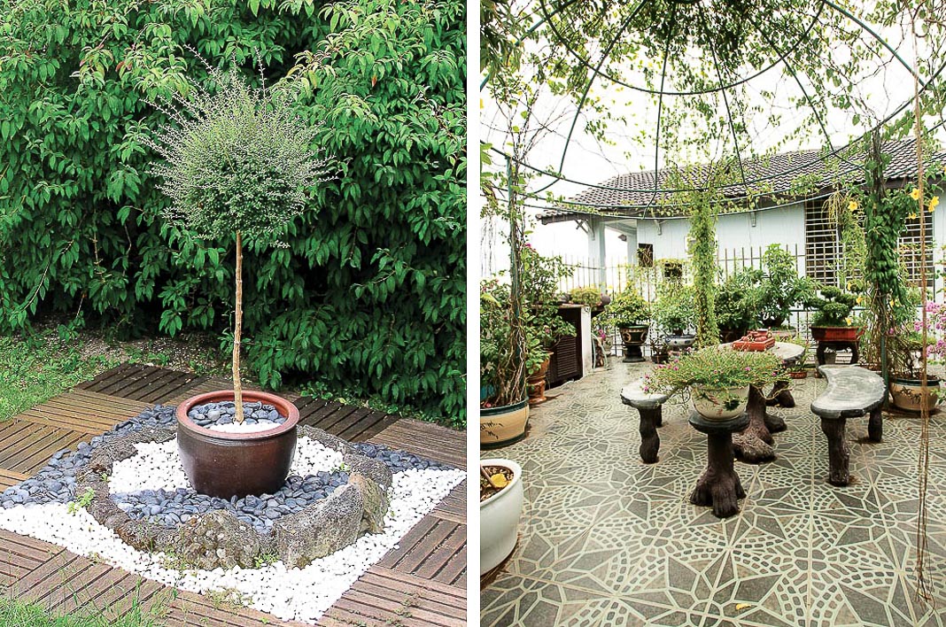 Vườn trên mái nhà phố