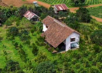 Ngôi nhà lùi lại để ánh sáng và tranh lên tiếng