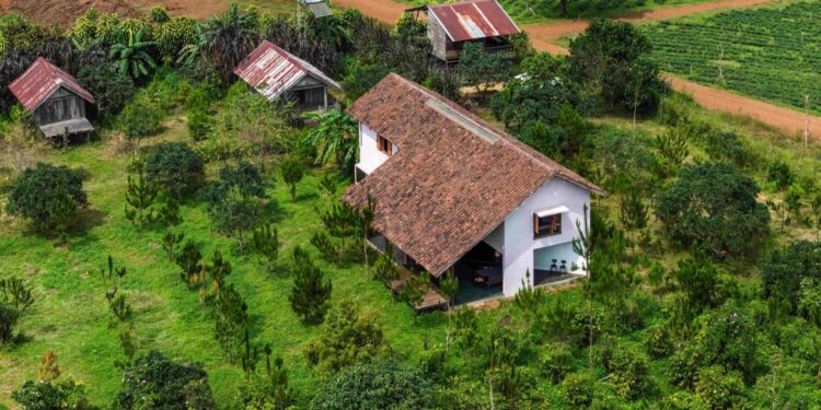 Ngôi nhà lùi lại để ánh sáng và tranh lên tiếng