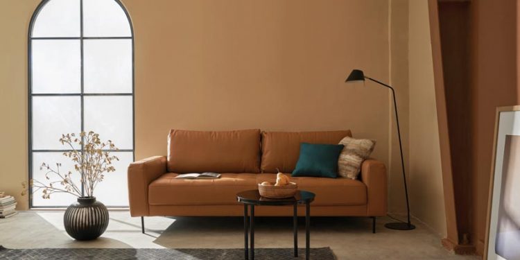 Sofa Rouge – điểm nhấn hoàn hảo trong mọi không gian