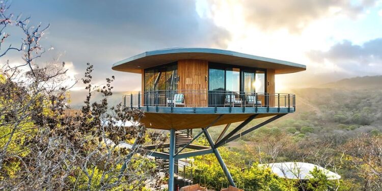 Các pod nghỉ dưỡng lơ lửng giữa rừng nhiệt đới tại Suitree Experience Hotel do Studio Saxe thiết kế ở Costa Rica - 5