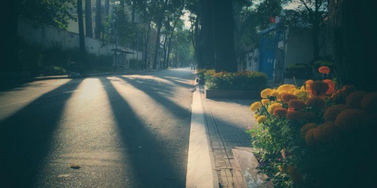 Mùi của Tết - Mùi của Tổ