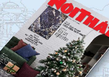 Đón đọc Tạp chí Nội Thất 313 phát hành ngày 01/12 - 11