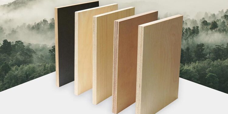 TEKCOM kỷ niệm 20 năm: Vượt thách thức, bứt phá giới hạn vươn tầm quốc tế - 2