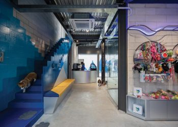 Glow Inc For Paws - Thú cưng đi spa - 15
