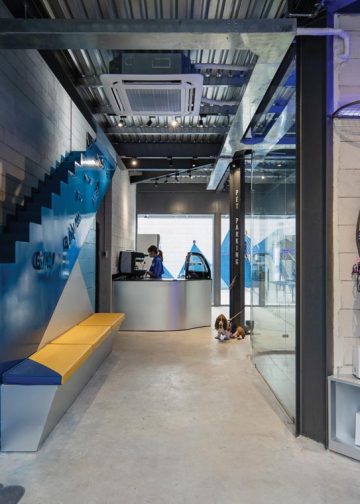 Glow Inc For Paws - Thú cưng đi spa - 15
