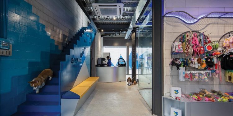 Glow Inc For Paws - Thú cưng đi spa - 15