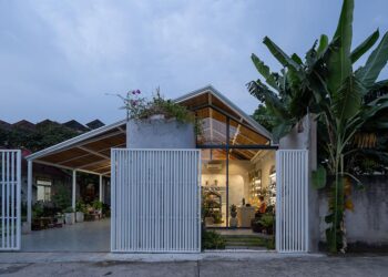 không gian shophouse Thy’s House tại Biên Hòa với mái kính, lam gỗ và vòm bê tông cong mềm mại - 7