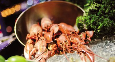 Tôm hùm Boston được chế biến theo phong cách mới