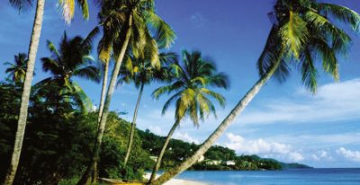 TransViet với chùm tour hè 2017