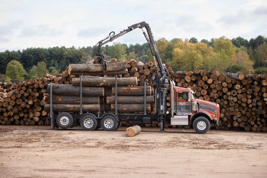 Không gian triển lãm Wood for the Trees tái hiện hành trình của gỗ từ rừng đến sản phẩm tại Copenhagen - 4