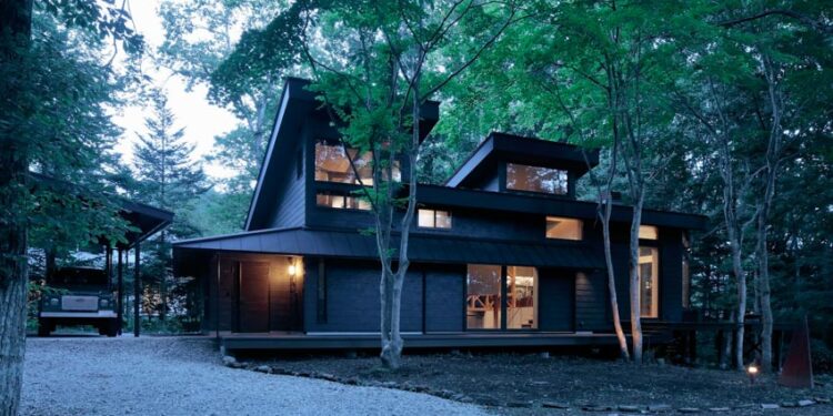 Nơi giấc mơ sống giữa rừng xanh trở thành hiện thực - 13